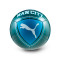 Puma Manchester City Bal