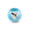 Puma Manchester City Bal