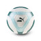 Puma Manchester City Bal