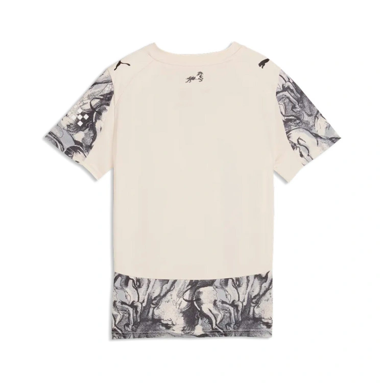 camiseta-puma-manchester-city-edicion-especial-nino-alpine-snow-flat-dark-gray-4