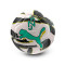 Puma Neymar Jr Graphic Ball Bal