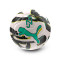 Puma Neymar Jr Graphic Ball Bal