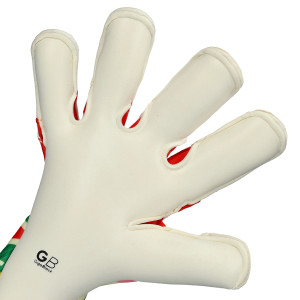 PALM-1