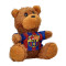 Fcb-teddybeer