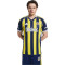 adidas Fenerbahçe 2025-2026 Home Shirt