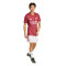 adidas Arsenal Fc Pre-Match 2025-2026 Shirt