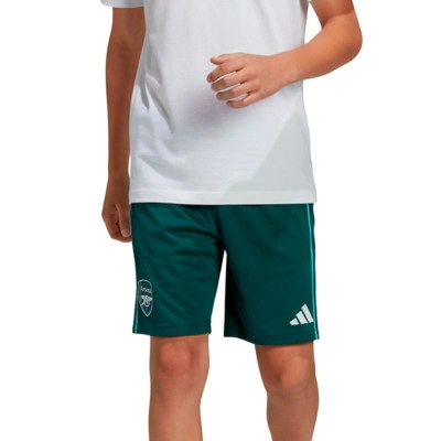 Arsenal Fc Training 2025-2026 Kind Shorts