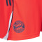 adidas FC Bayern Training 2025-2026 Shorts