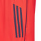 adidas FC Bayern Training 2025-2026 Shorts