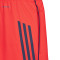 adidas FC Bayern Training 2025-2026 Shorts
