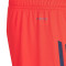 adidas FC Bayern Training 2025-2026 Shorts
