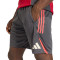 adidas Liverpool Fc Training 2025-2026 Shorts