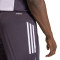 adidas Manchester United Training 2025-2026 Shorts