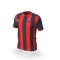 Puma CD Vandalia de Peligros CF 1ª Equipación 2025-2026 Shirt