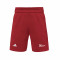 adidas Baloncesto RG Cultura Covadonga 1ª Equipación (E1) Shorts