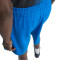 adidas Jude Bellingham Shorts