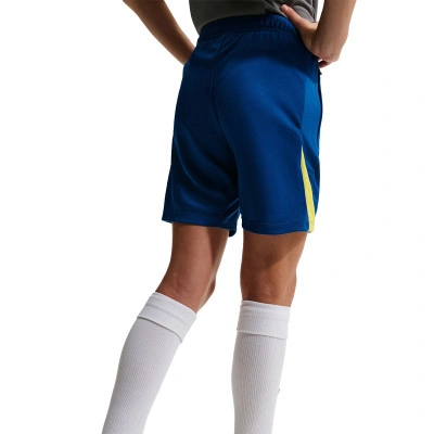 Fc Barcelona Training 2025-2026 Kind Shorts