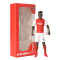 Sockers Arsenal-speelgoed