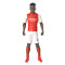 Sockers Arsenal-speelgoed