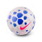 Nike Pitch 2025-2026 Bal