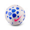 Nike Pitch 2025-2026 Bal