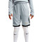 Nike Academy 25 Shorts