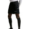 Nike Academy 25 Shorts