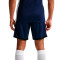 Nike Dri-Fit Academy 25 Shorts