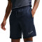 Nike Academy 25 Shorts