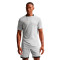 Nike Academy 25 Dri-FIT SS Top Br T-Shirt