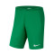 Nike Park III Knit Niño C.D. Acero Shorts
