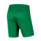 Nike Park III Knit Niño C.D. Acero Shorts