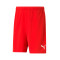 Puma teamRISE CE MANRESA Shorts