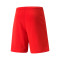 Puma teamRISE CE MANRESA Shorts