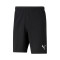 Puma teamRISE técnicos CE MANRESA Shorts