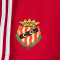 adidas Gimnàstic de Tarragona Training Spelers 2025-2026 Shorts