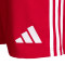 adidas Gimnàstic de Tarragona Training Spelers 2025-2026 Shorts
