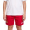 adidas Kinderen Gimnàstic de Tarragona 2025-2026 Training Shorts