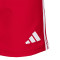 adidas Kinderen Gimnàstic de Tarragona 2025-2026 Training Shorts