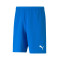Puma teamRISE C.D. Valkyrias Becerrill Shorts