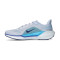 Nike Air Zoom Pegasus 41 Hardloopschoenen
