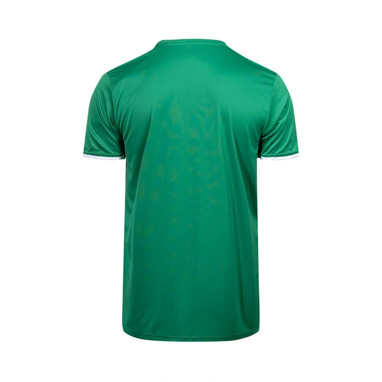 camiseta-adidas-entrada-26-team-green-white-1