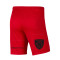 Nike Park III Knit Niño CD Denia Shorts