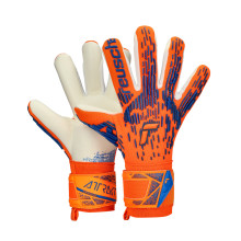Reusch Attrakt Freegel Silver Handschoen