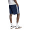 adidas Firebird Shorts