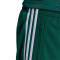 adidas Firebird Shorts
