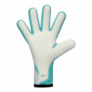 PALM-1