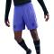 Nike FC Barcelona Doelman 2025-2026 Uittenue Shorts