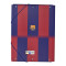 FC Barcelona FC Barcelona map met 3 kleppen Map