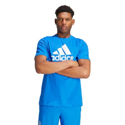 Camiseta FIGC DNA GR TEE BLAUW T-Shirt